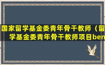 国家留学基金委青年骨干教师（留学基金委青年骨干教师项目bench fee资助多少）